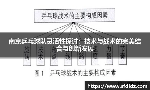 南京乒乓球队灵活性探讨：技术与战术的完美结合与创新发展